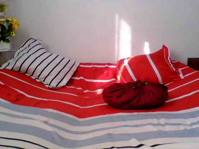 Pauliemarie webcam