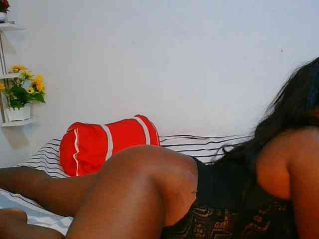 Pauliemarie webcam