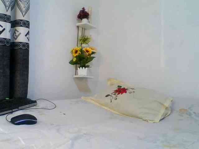 Pauliemarie webcam