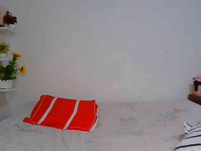 Pauliemarie webcam