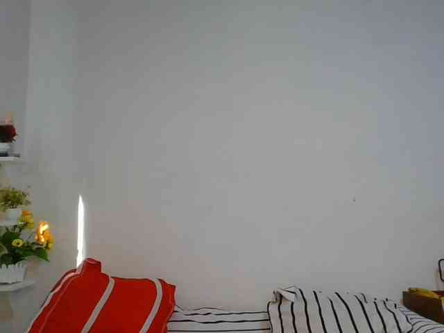 Pauliemarie webcam