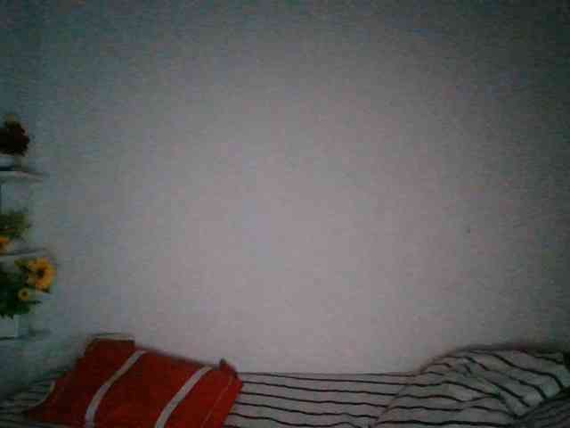 Pauliemarie webcam