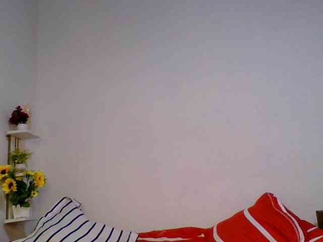 Pauliemarie webcam