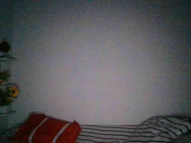 Pauliemarie webcam