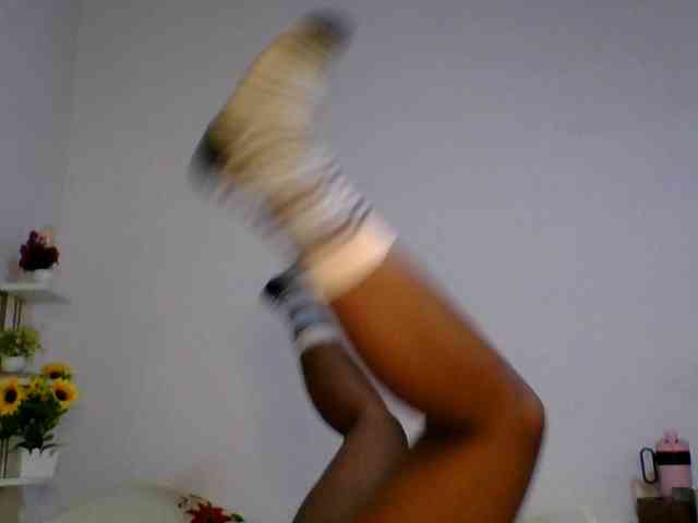 Pauliemarie webcam