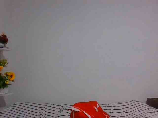 Pauliemarie webcam