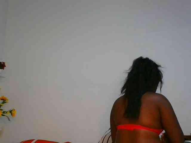Pauliemarie webcam