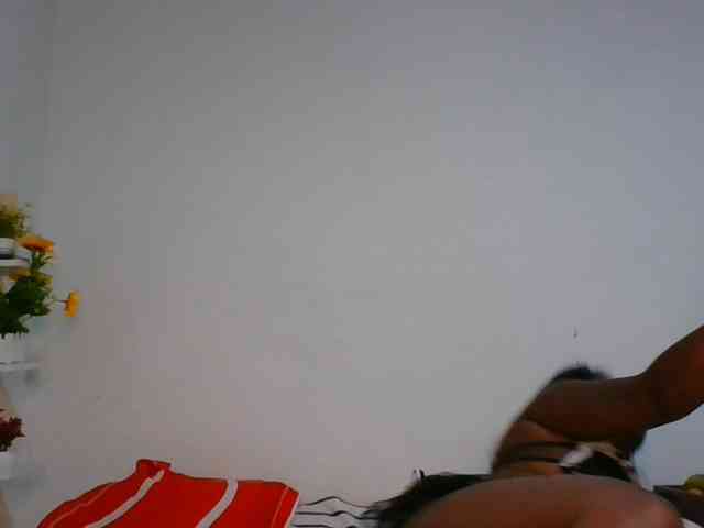 Pauliemarie webcam