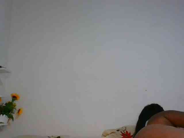 Pauliemarie webcam