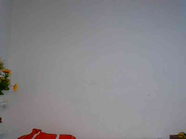 Pauliemarie webcam