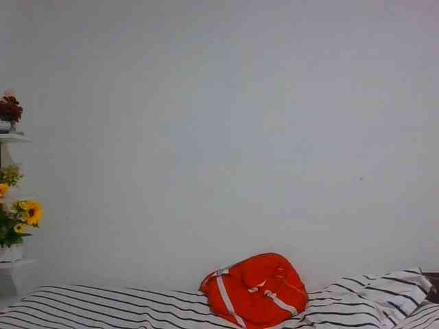 Pauliemarie webcam