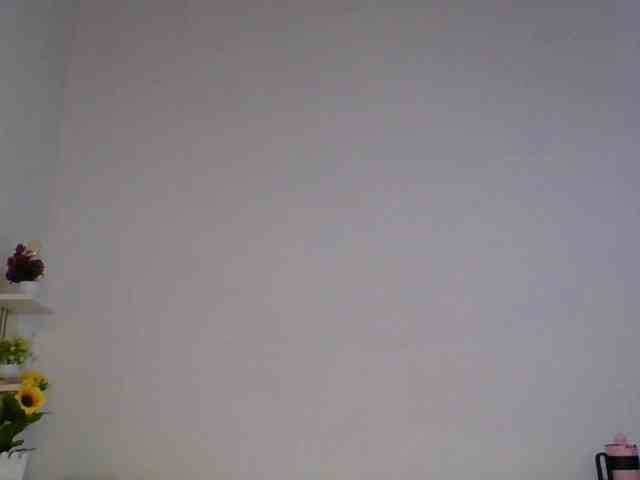 Pauliemarie webcam