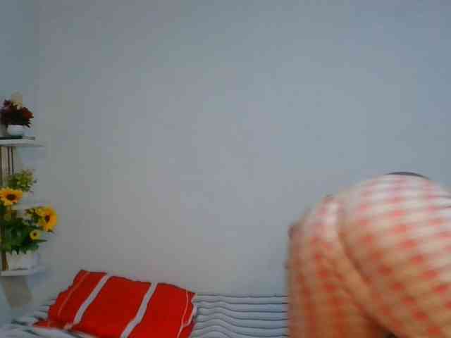 Pauliemarie webcam