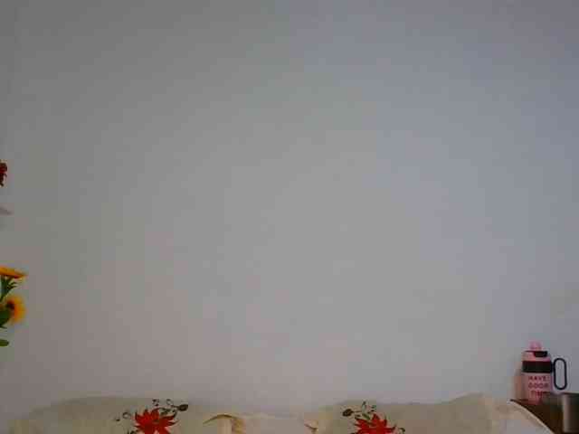 Pauliemarie webcam
