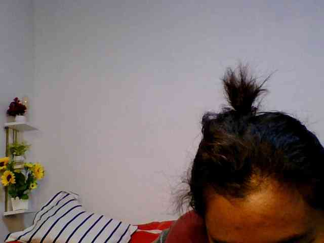 Pauliemarie webcam