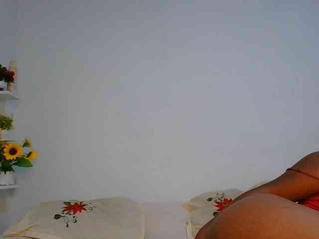 Pauliemarie webcam