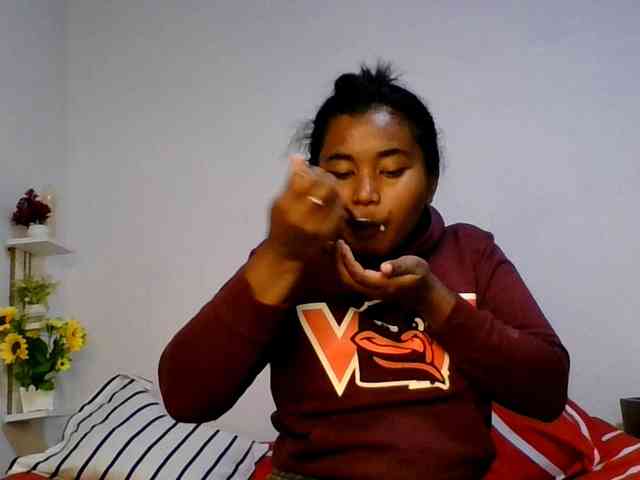 Pauliemarie webcam