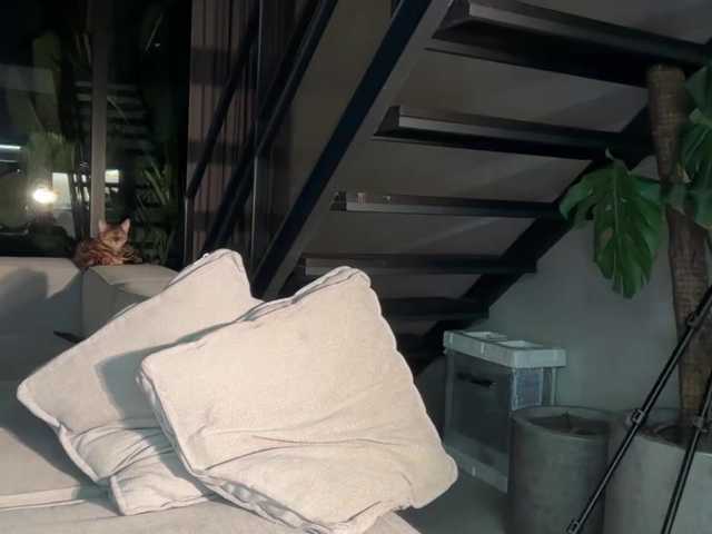 goldenalinee live cam on BongaCams