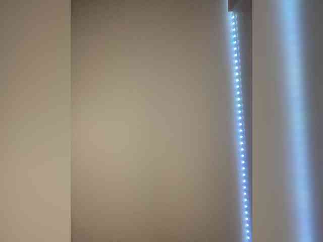 ReneYolker webcam