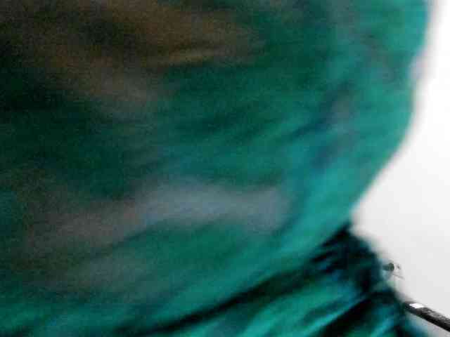 amiravyxen webcam
