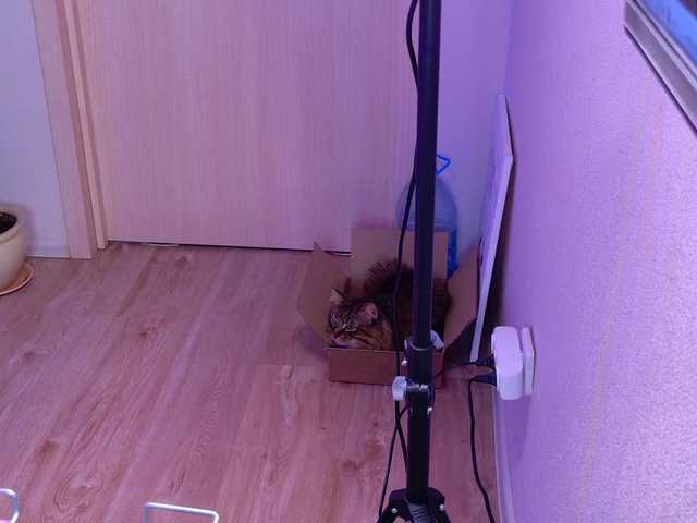 Night-angell live cam on BongaCams