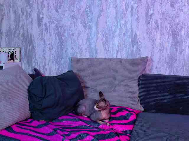 Night-angell webcam