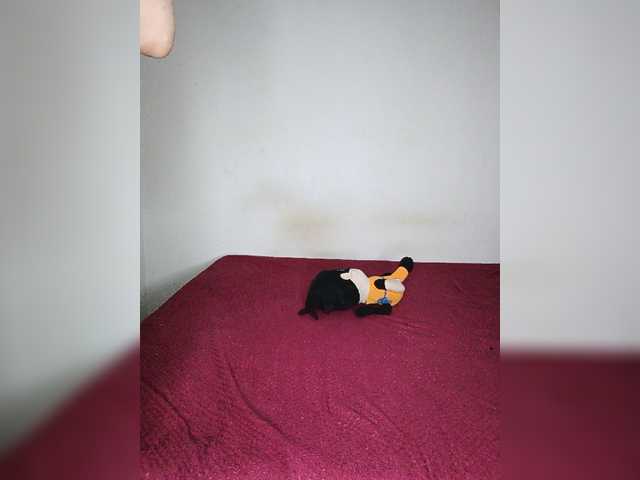 Nucitaa-14 live cam on BongaCams