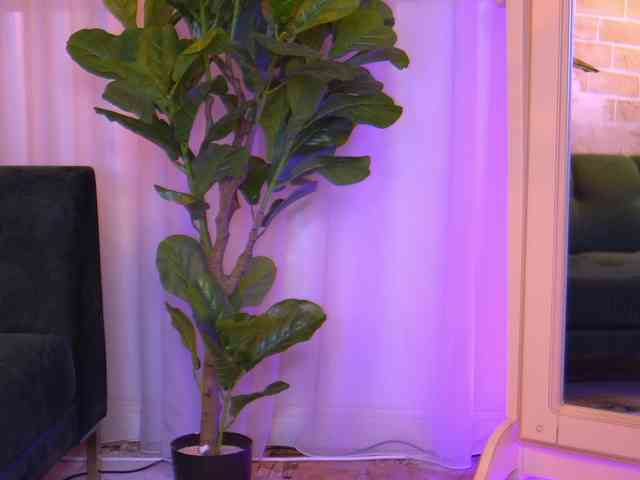 KylieKroft webcam