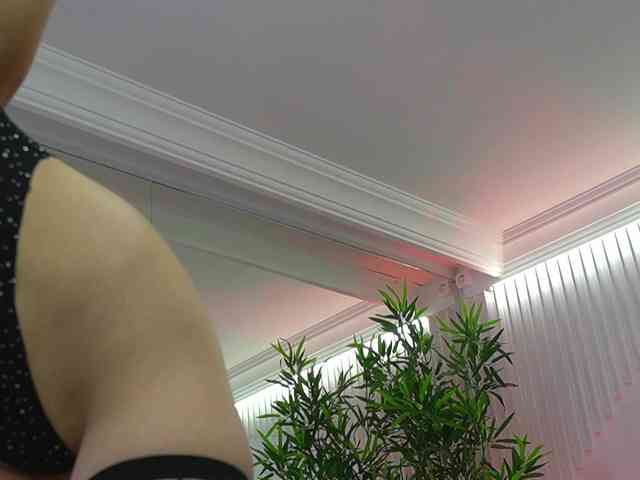 TifannyRay webcam