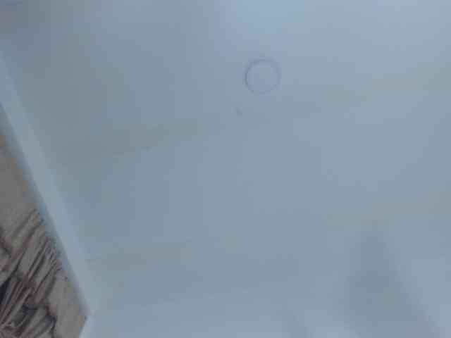 sweetsquirt4u webcam