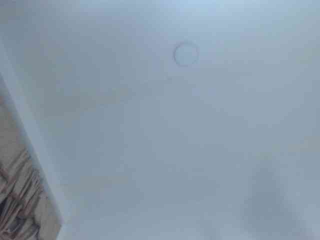 sweetsquirt4u webcam