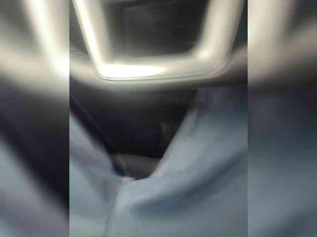 Davit1