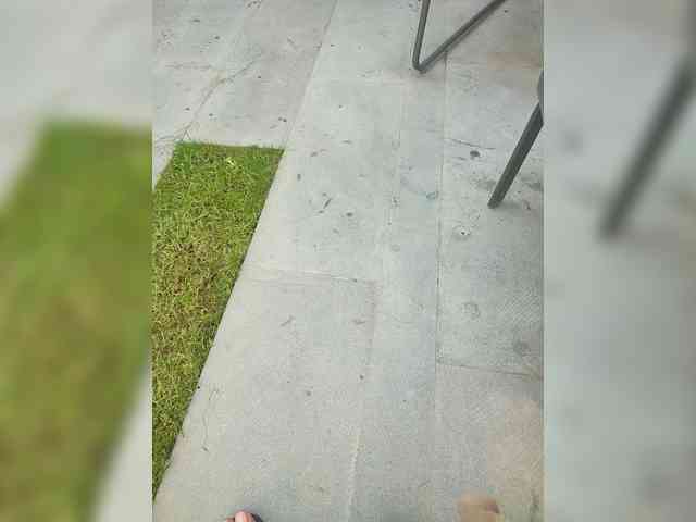 Davit1 Davit1