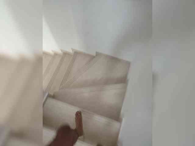 Davit1