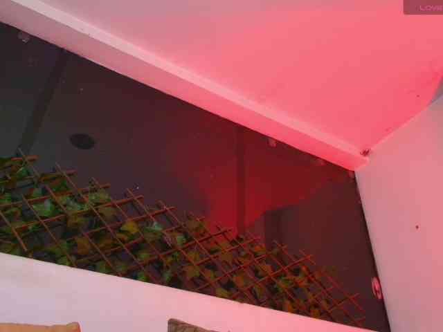elinne-hendrix webcam