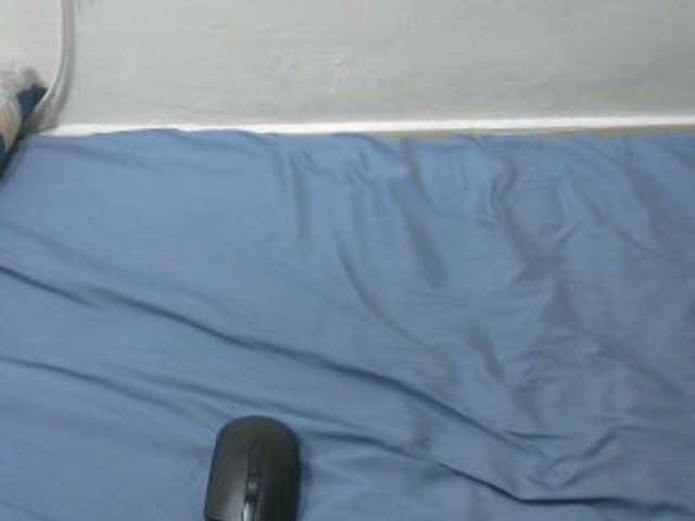 Nicepussy live cam on BongaCams