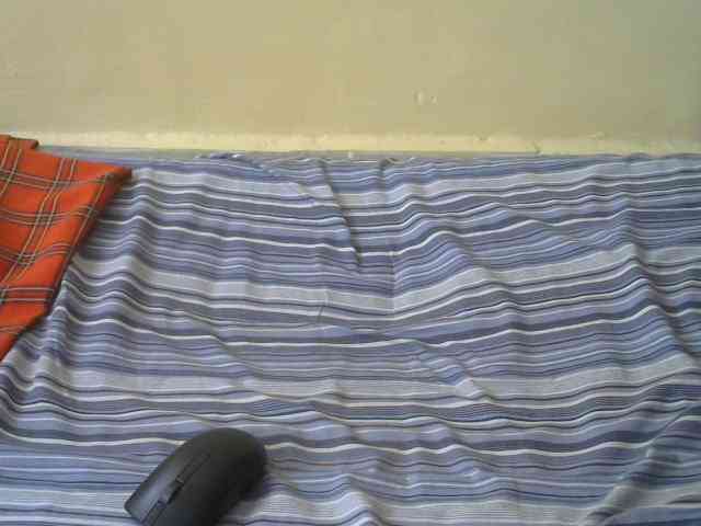 Nicepussy webcam