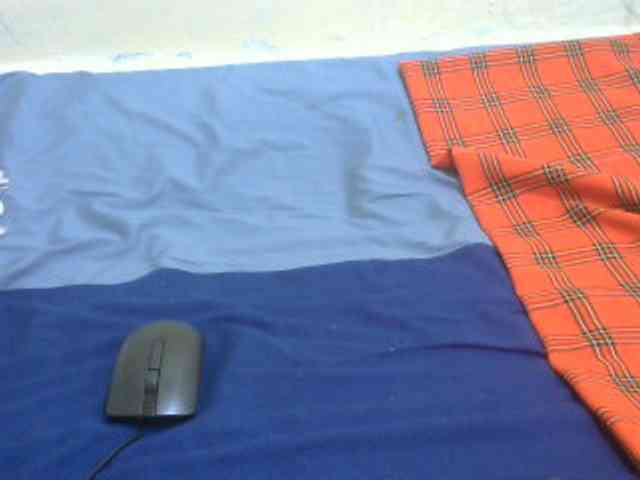 Nicepussy webcam