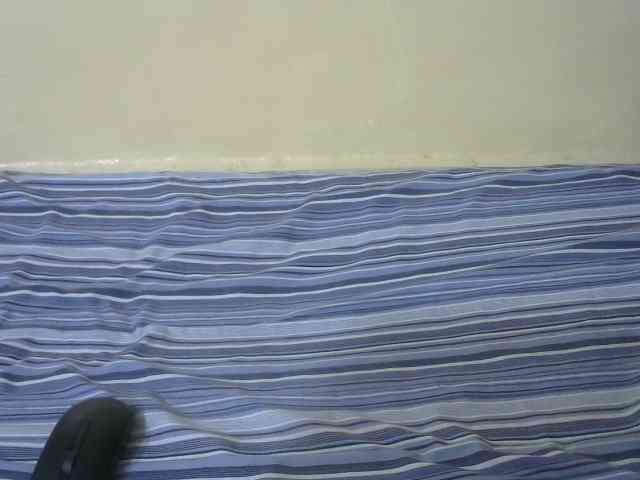 Nicepussy webcam