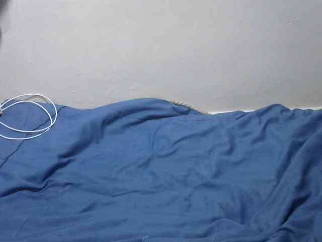 Nicepussy webcam