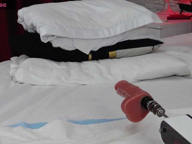 RubbiDark Live Cam and Statistics on UnifiedCams