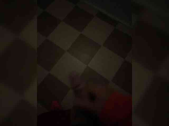 FollowMe