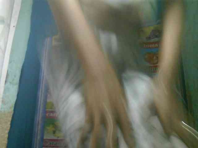 Fanihsexy webcam
