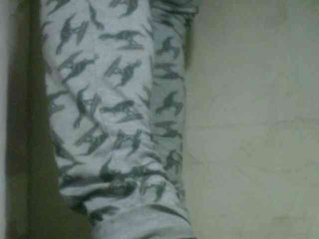 Fanihsexy webcam