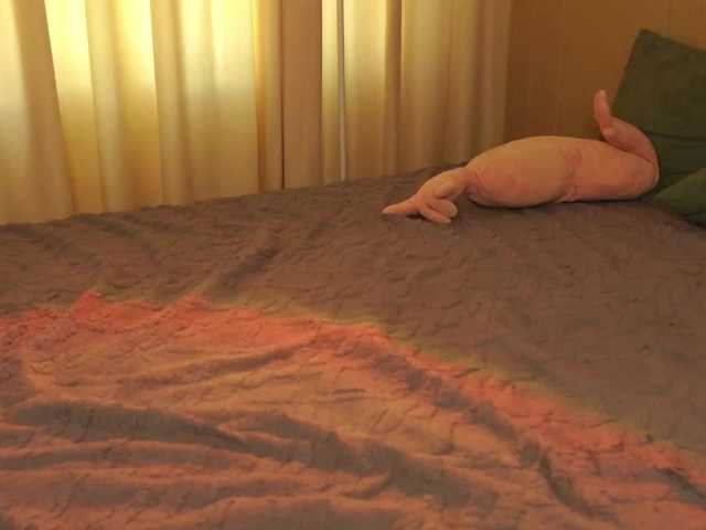 Meowmacito
