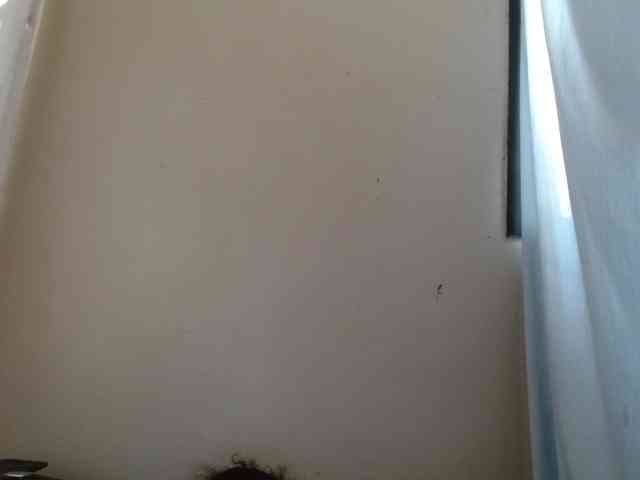 Cutie12 webcam
