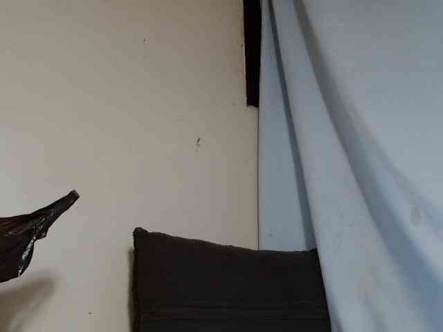 Cutie12 webcam
