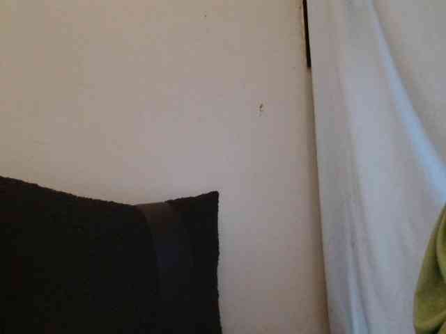 Cutie12 webcam