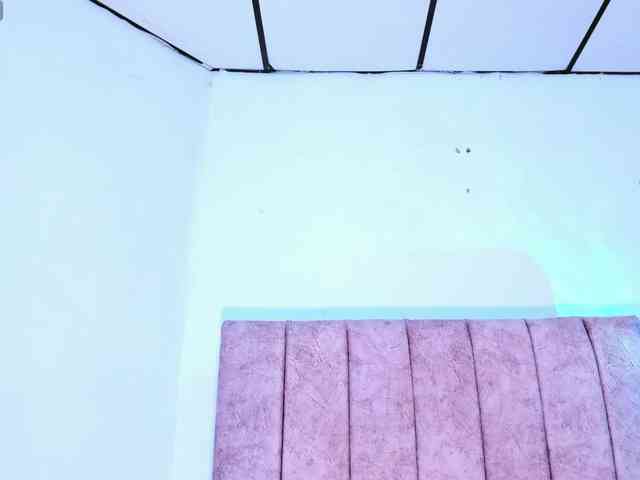 Mila-Wood webcam