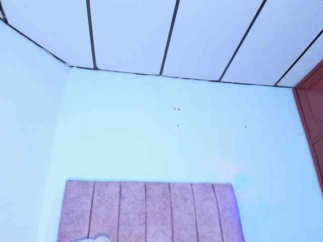 Mila-Wood webcam